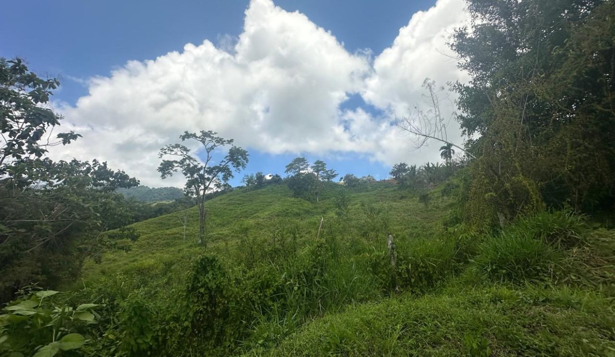 Finca en venta Tierras Morenas Costa Rica (3)