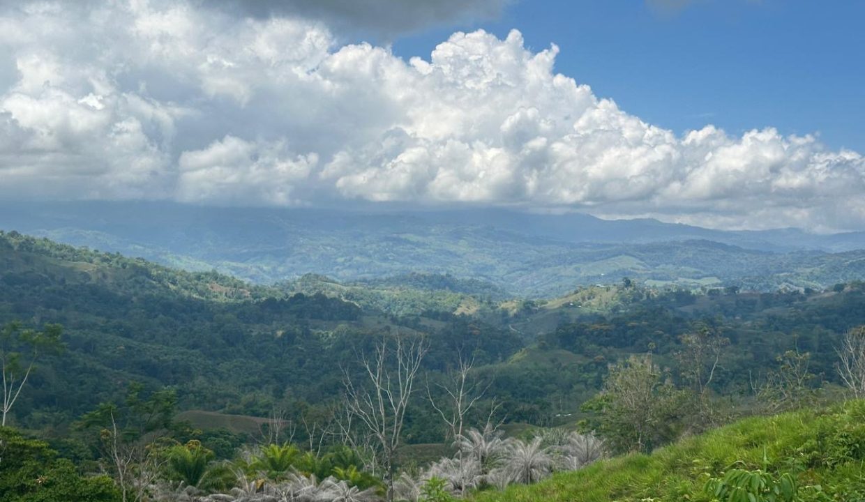 Finca en venta Tierras Morenas Costa Rica (8)
