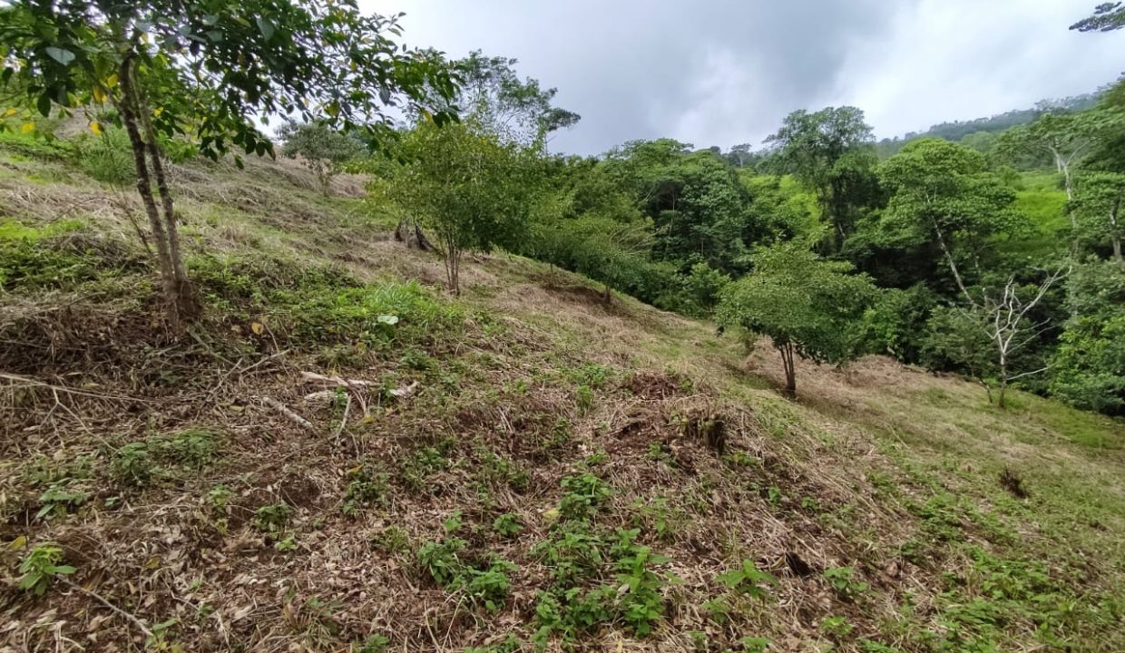 Lote en venta Ojochal Costa Rica (13)