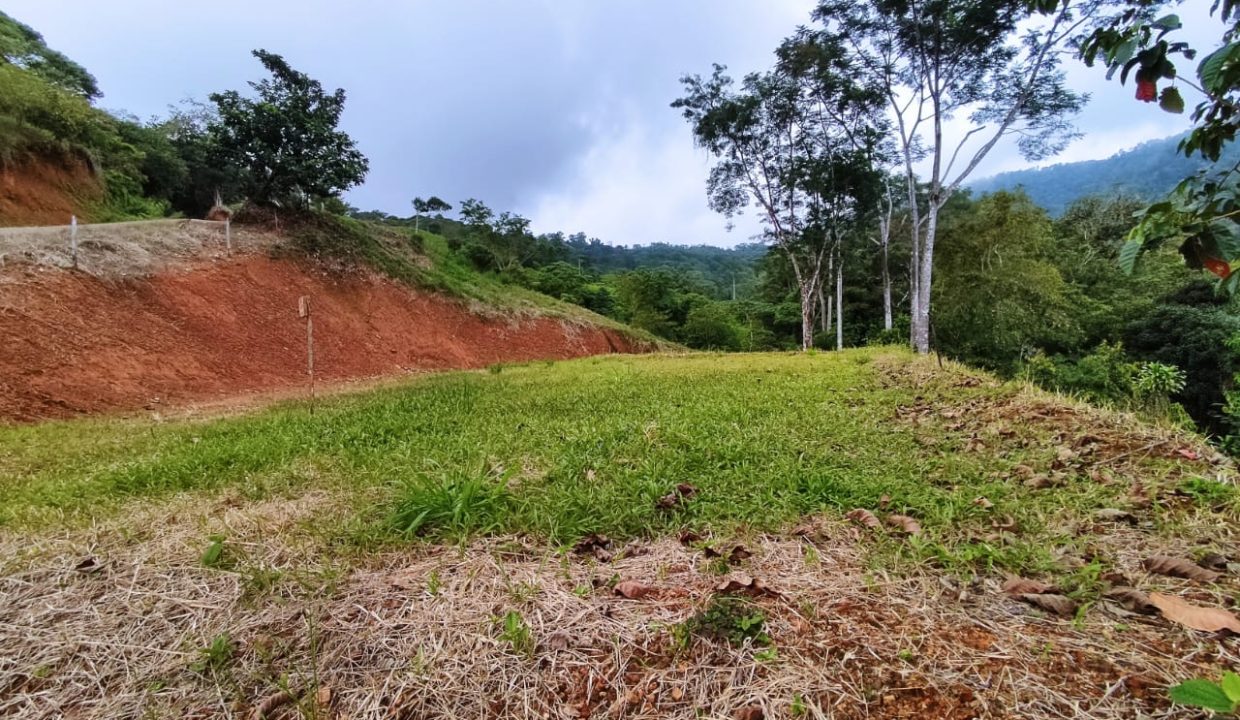 Lote en venta Ojochal Costa Rica (5)