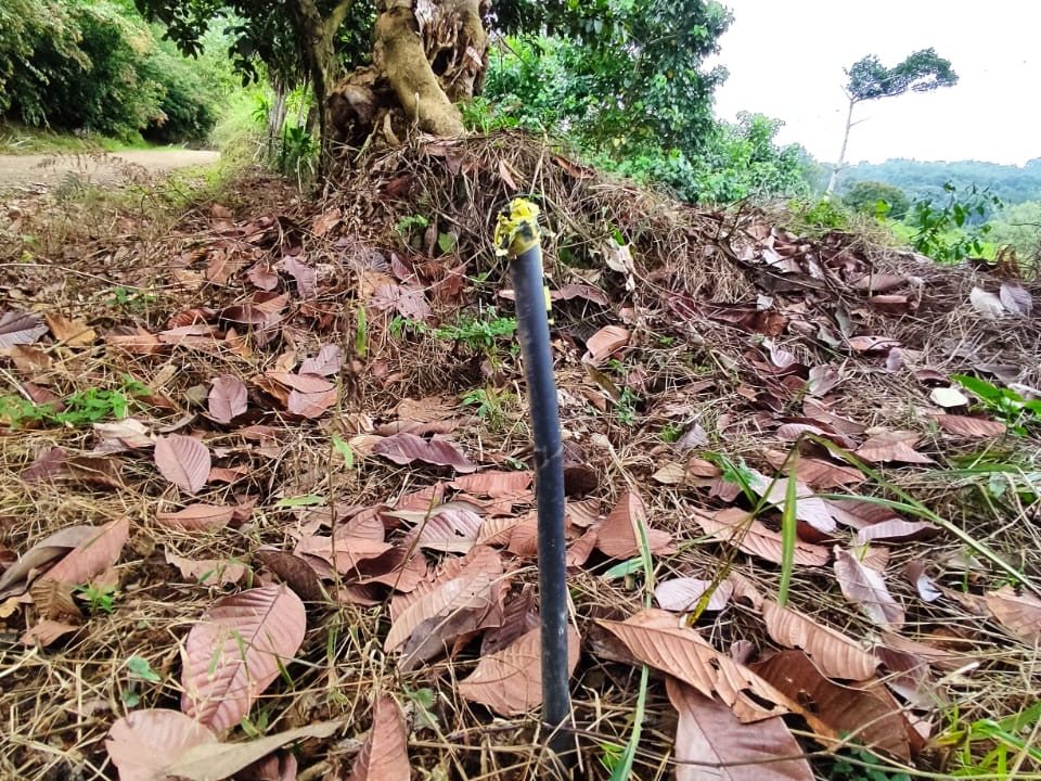 Lote en venta Ojochal Costa Rica (6)