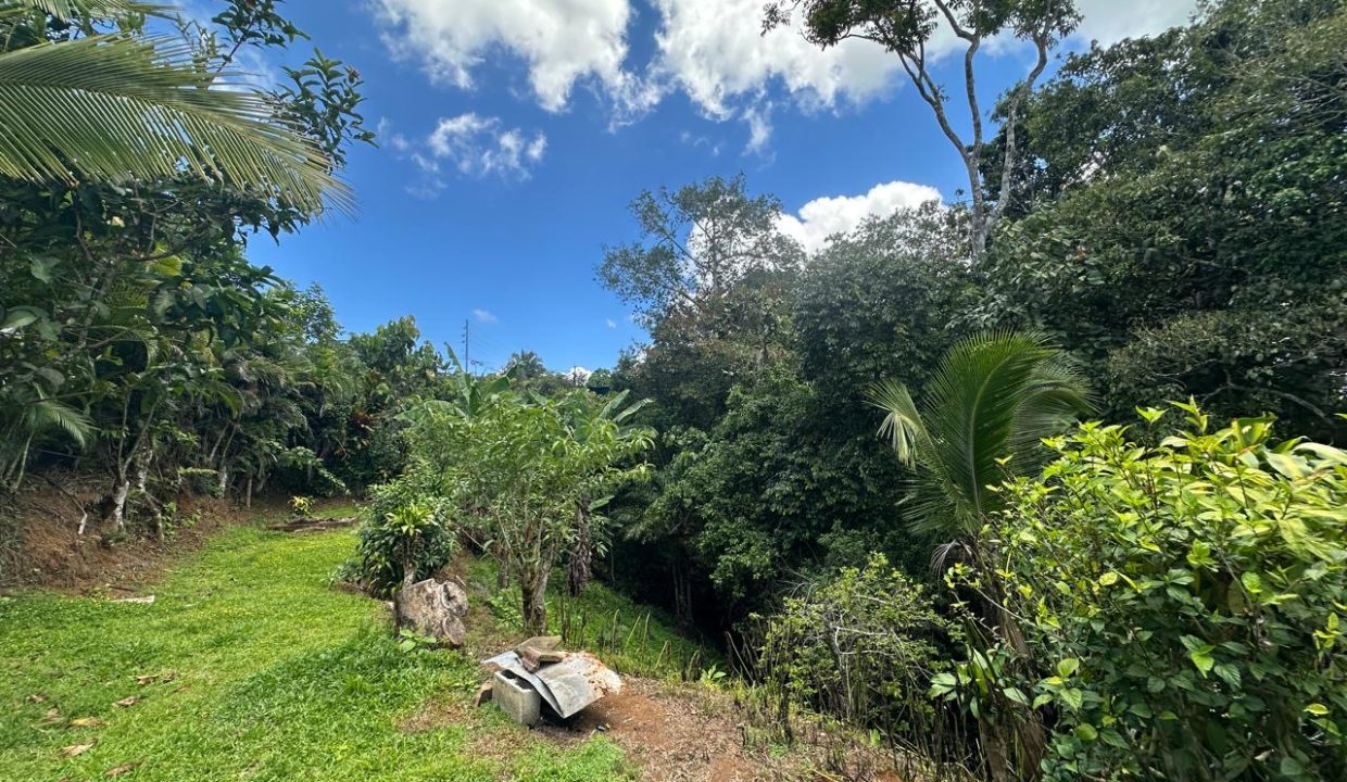 Casa en venta Mollejoncito Costa Rica (1.10)