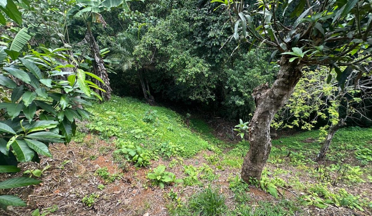 Casa en venta Mollejoncito Costa Rica (1.11)