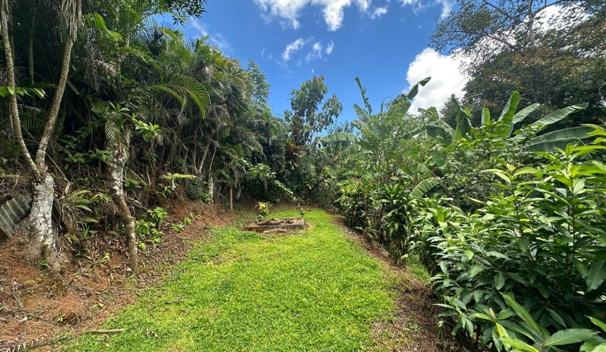 Casa en venta Mollejoncito Costa Rica (1.6)