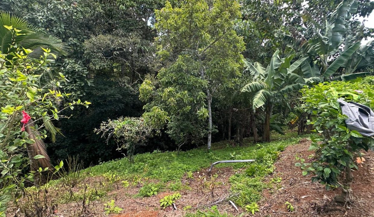 Casa en venta Mollejoncito Costa Rica (1.9)