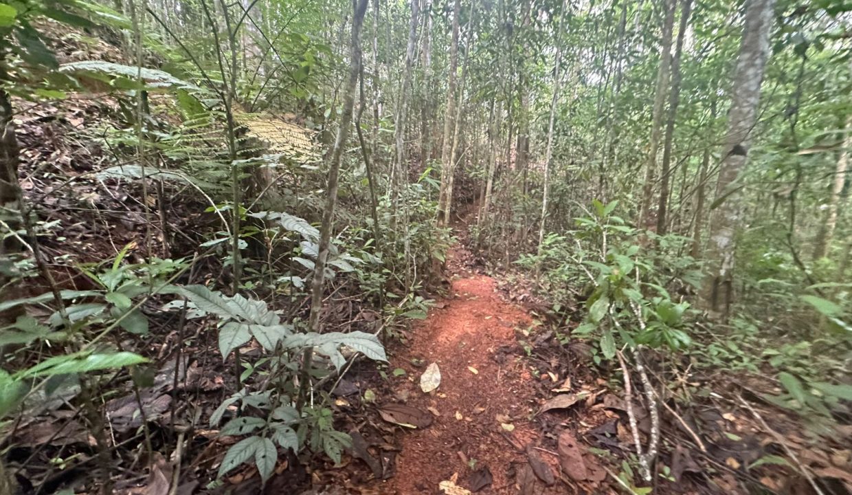 Casa en venta Mollejoncito Costa Rica (23)