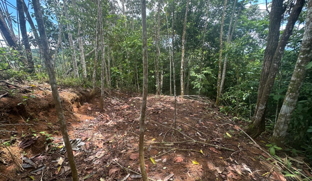 Casa en venta Mollejoncito Costa Rica (24)
