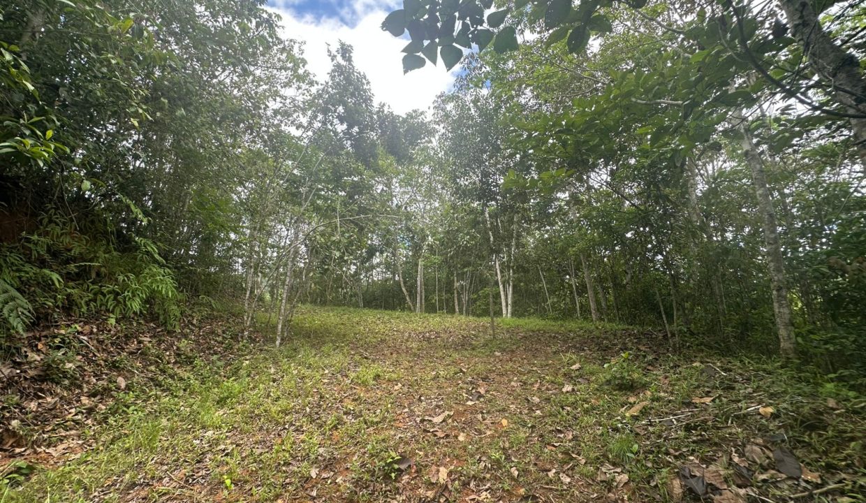 Casa en venta Mollejoncito Costa Rica (25)
