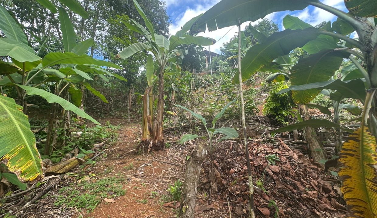Casa en venta Mollejoncito Costa Rica (27)