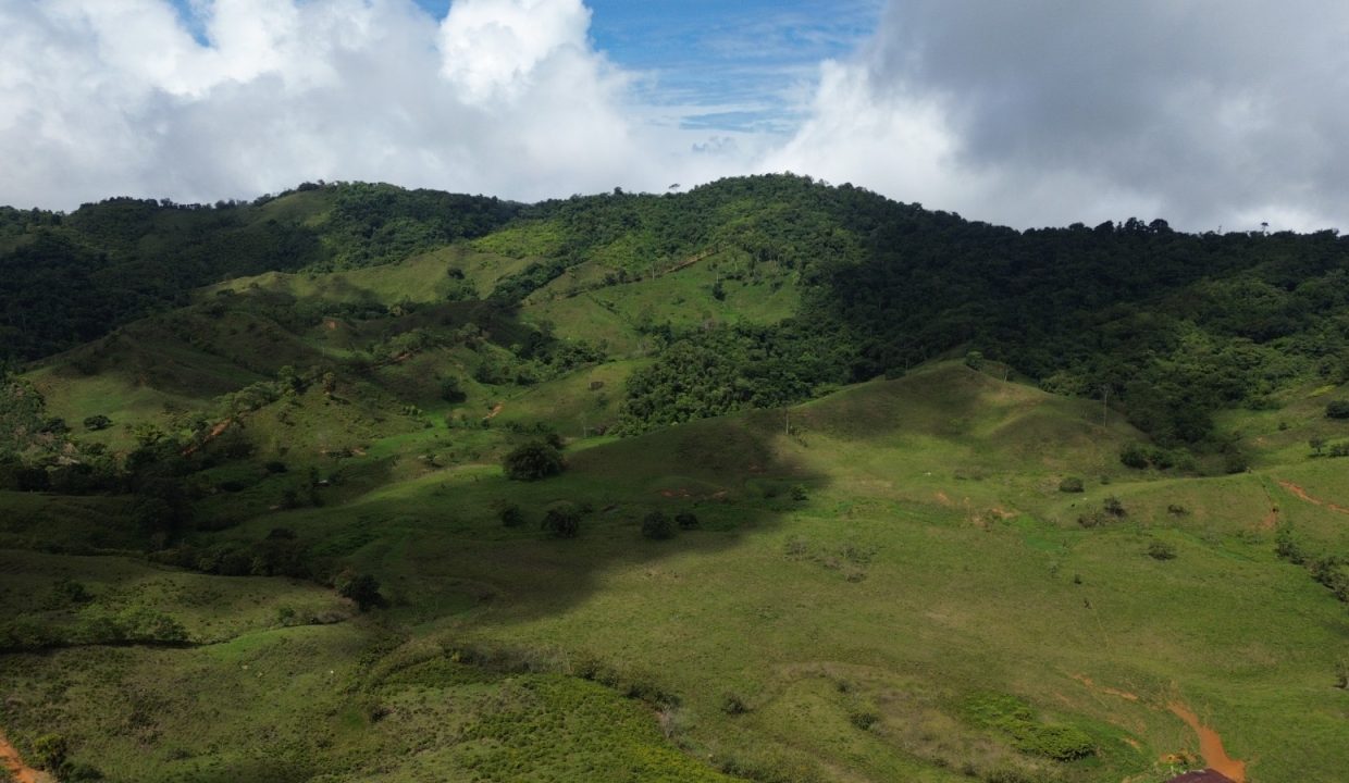 Finca en venta Costa Rica (10)