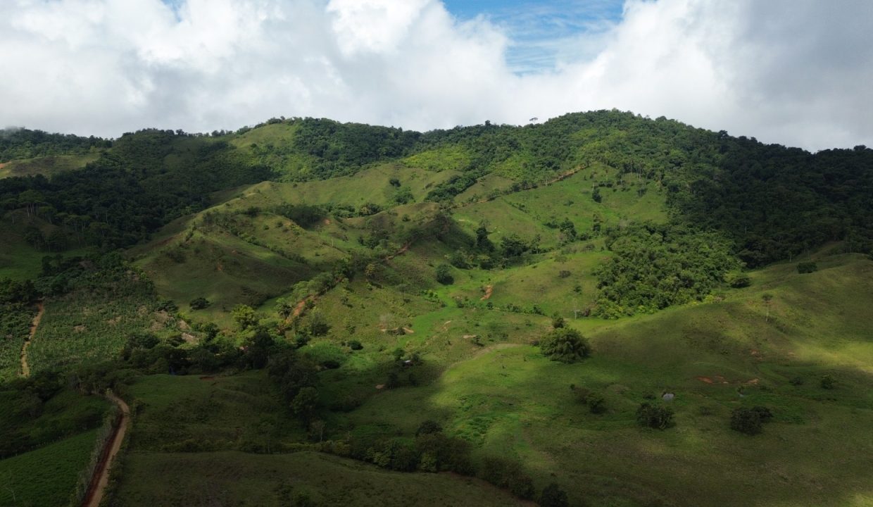 Finca en venta Costa Rica (11)