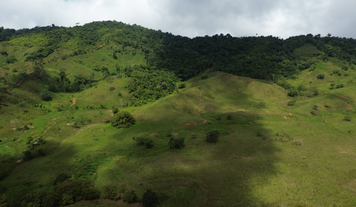 Finca en venta Costa Rica (12)