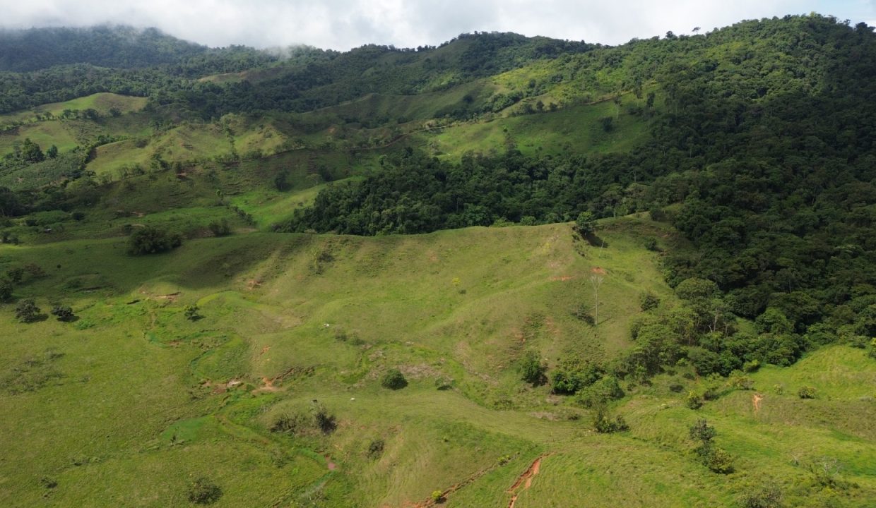 Finca en venta Costa Rica (13)