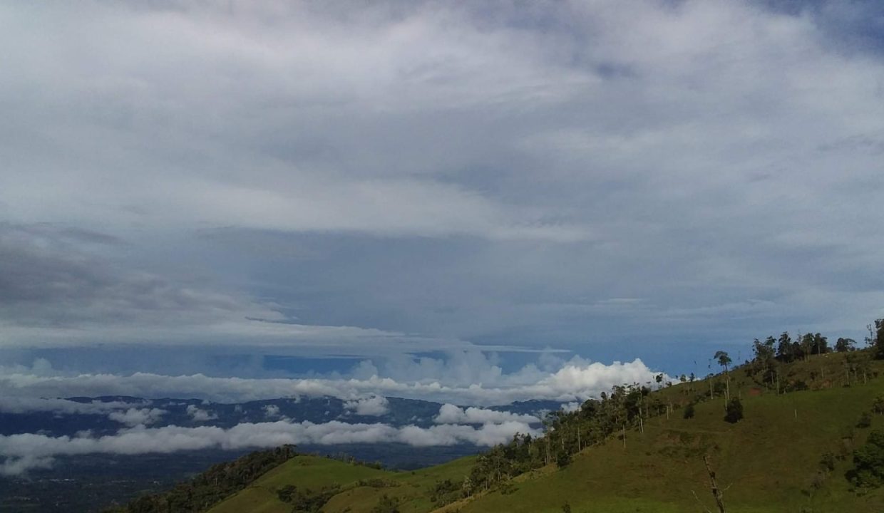 Finca en venta Costa Rica (15)