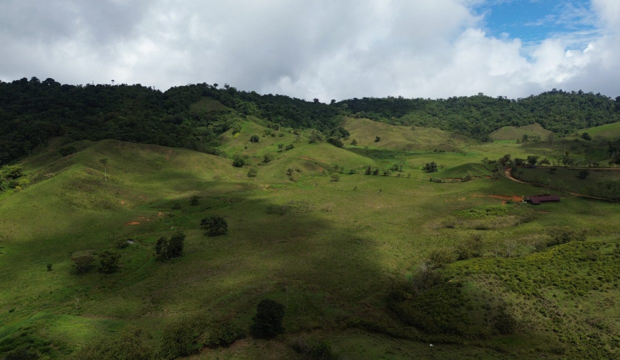 Finca en venta Costa Rica (22)