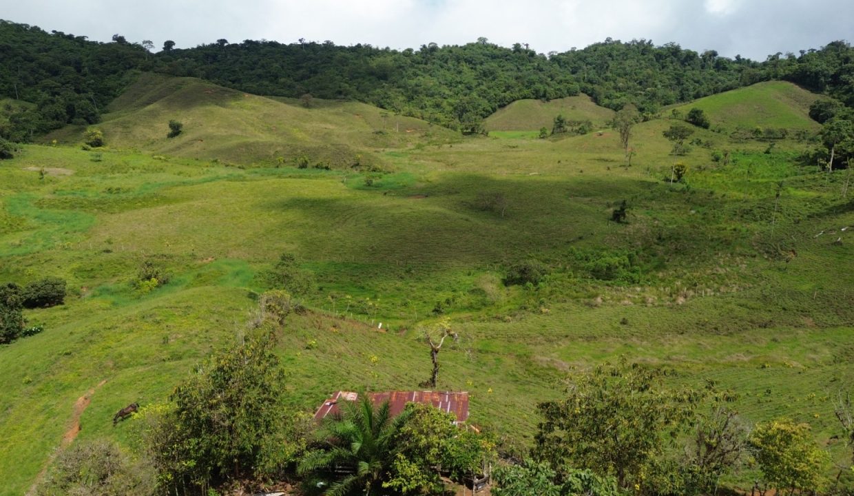 Finca en venta Costa Rica (24)