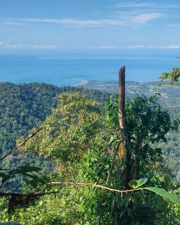 Finca en venta Costa Rica (26)