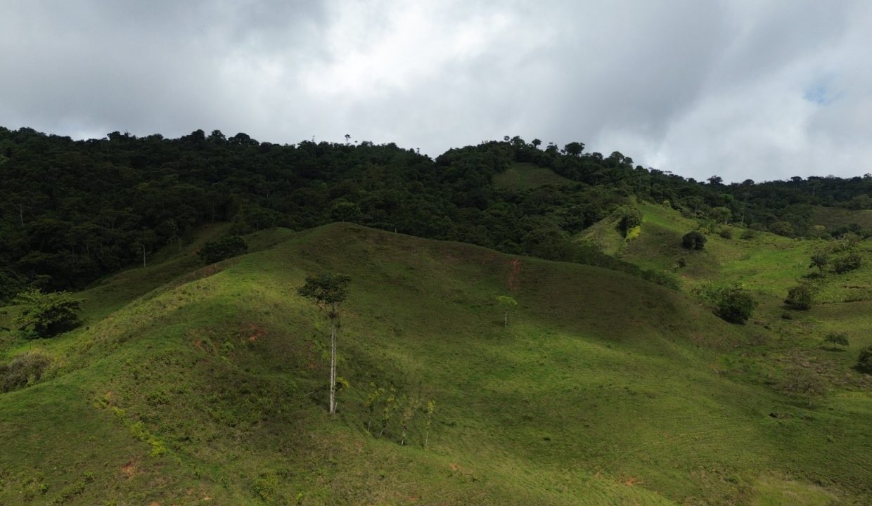 Finca en venta Costa Rica (27)