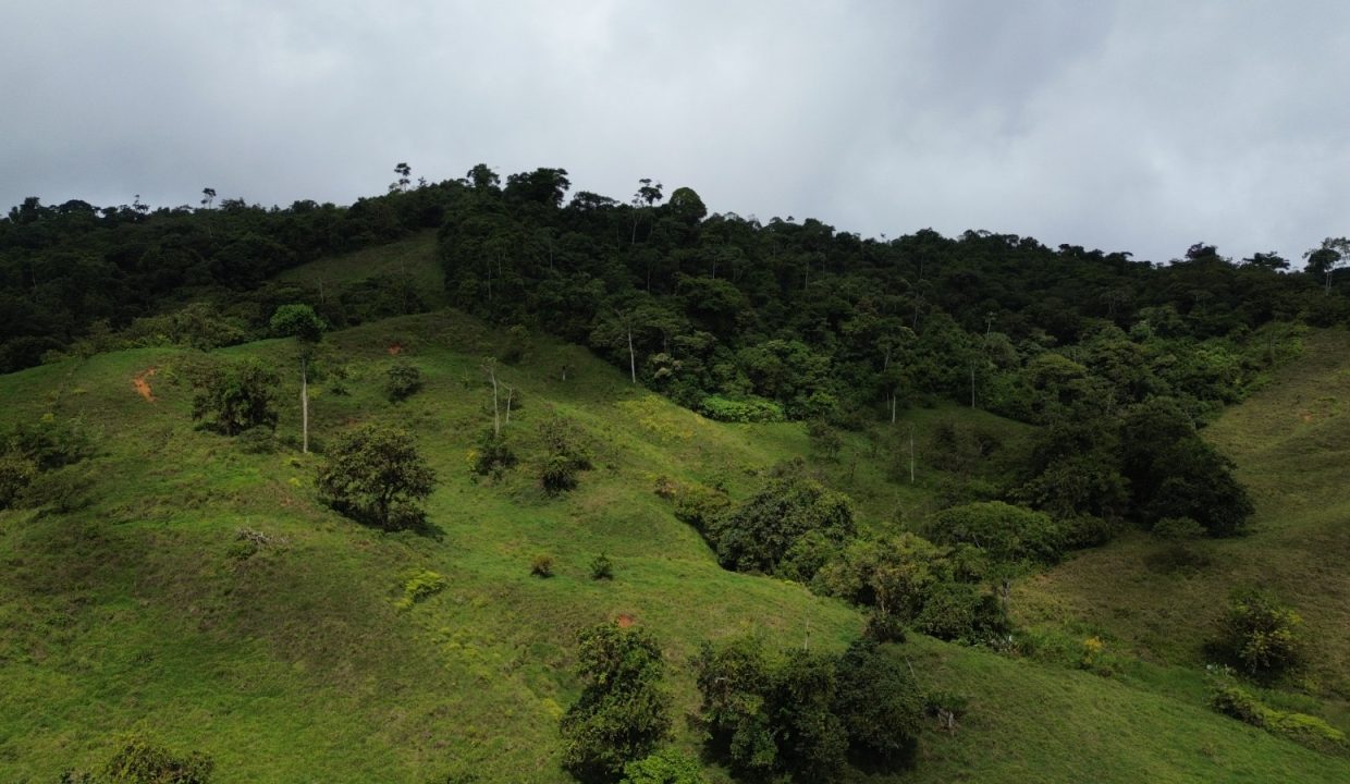 Finca en venta Costa Rica (28)