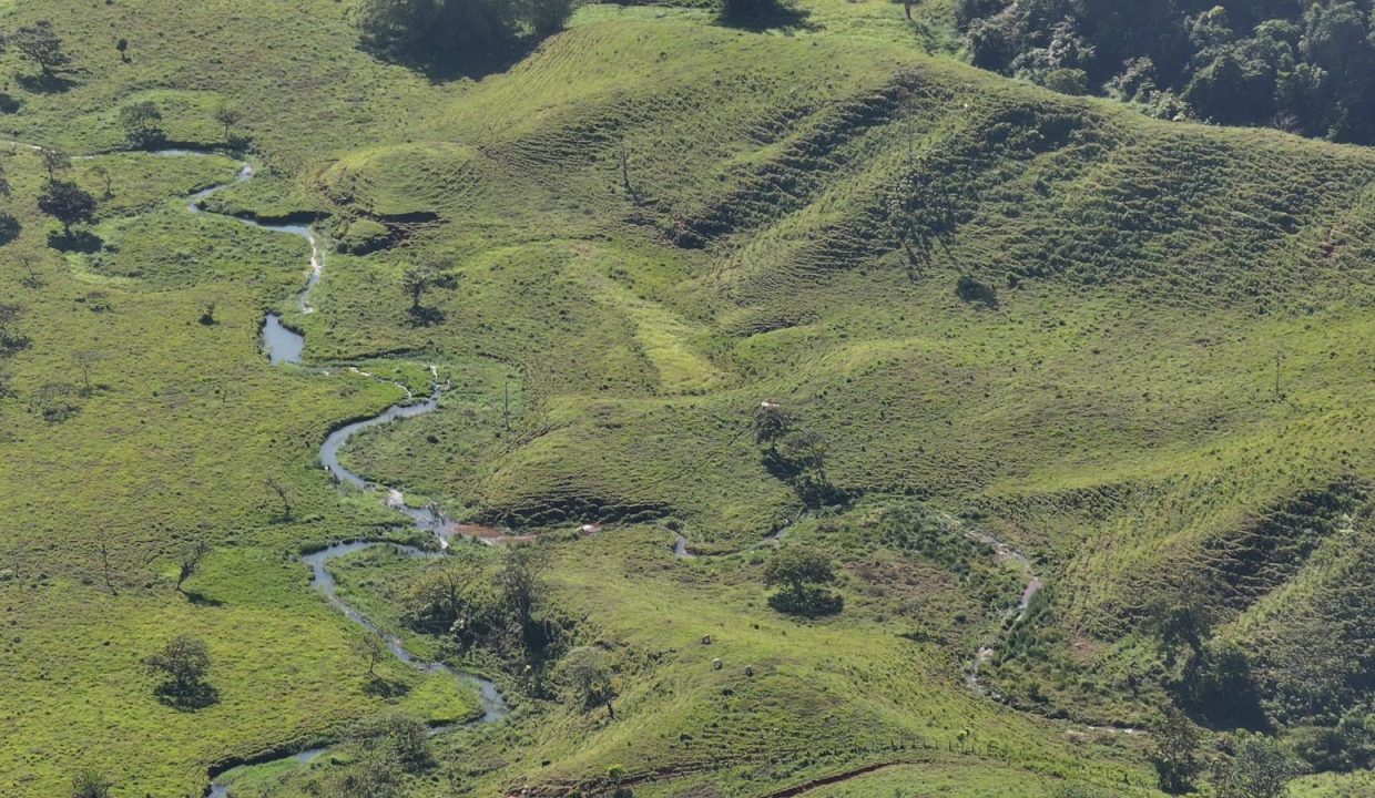 Finca en venta Costa Rica (3)