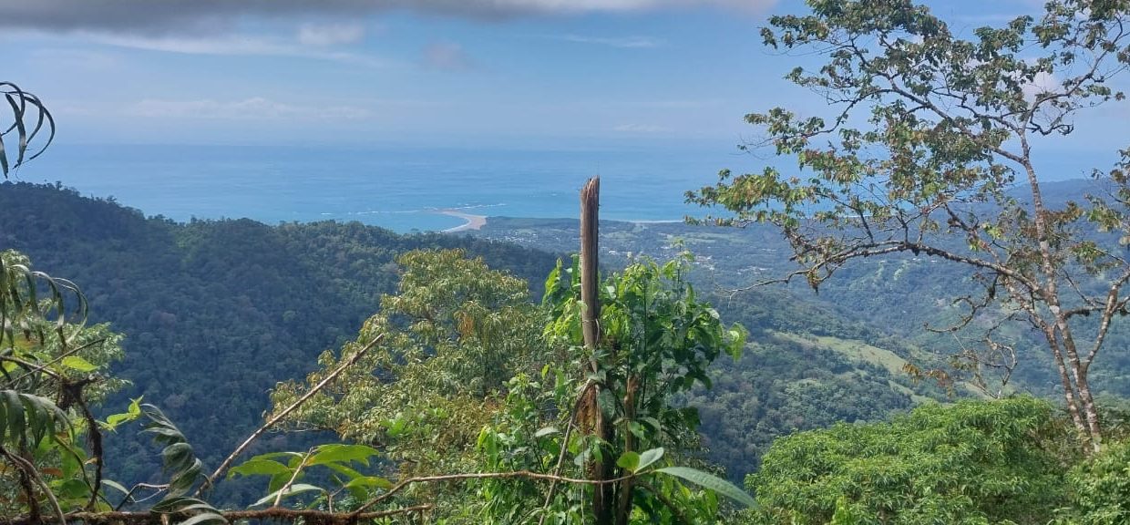 Finca en venta Costa Rica (4)