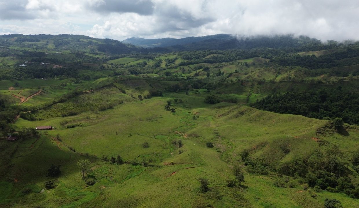 Finca en venta Costa Rica (5)