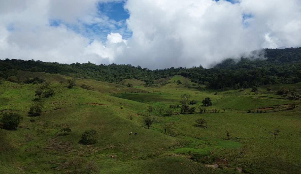Finca en venta Costa Rica (6)