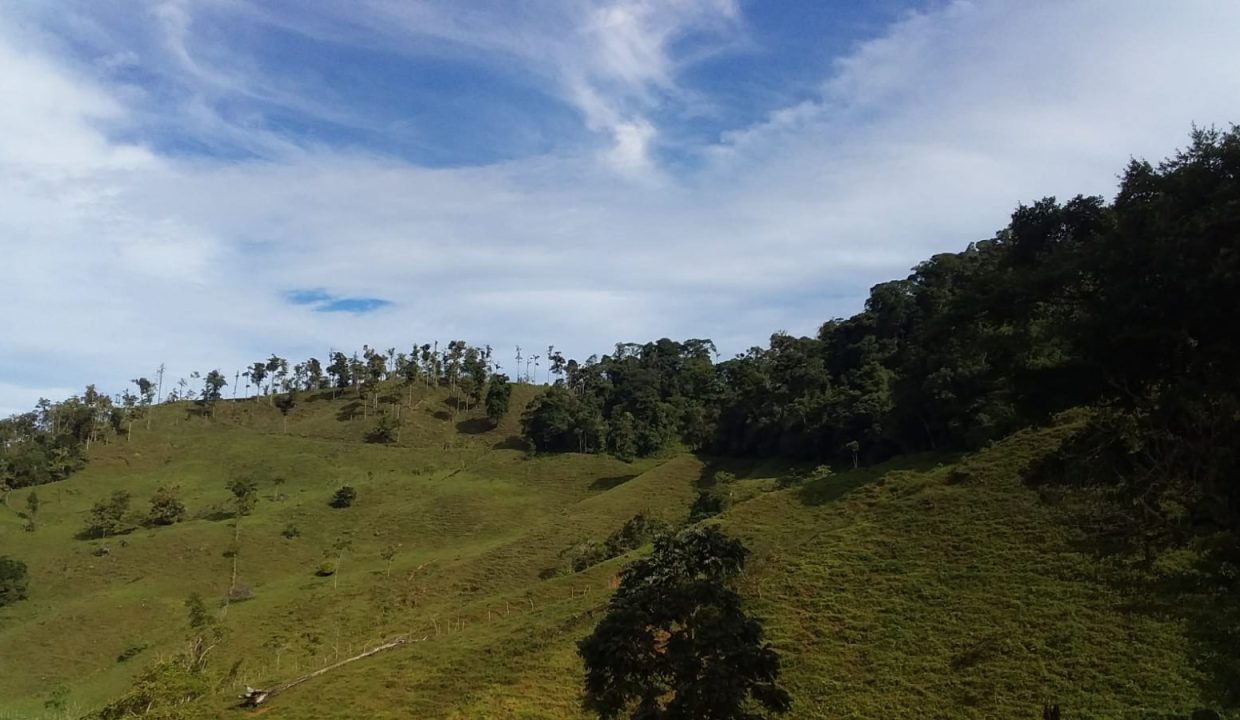 Finca en venta Costa Rica (7)