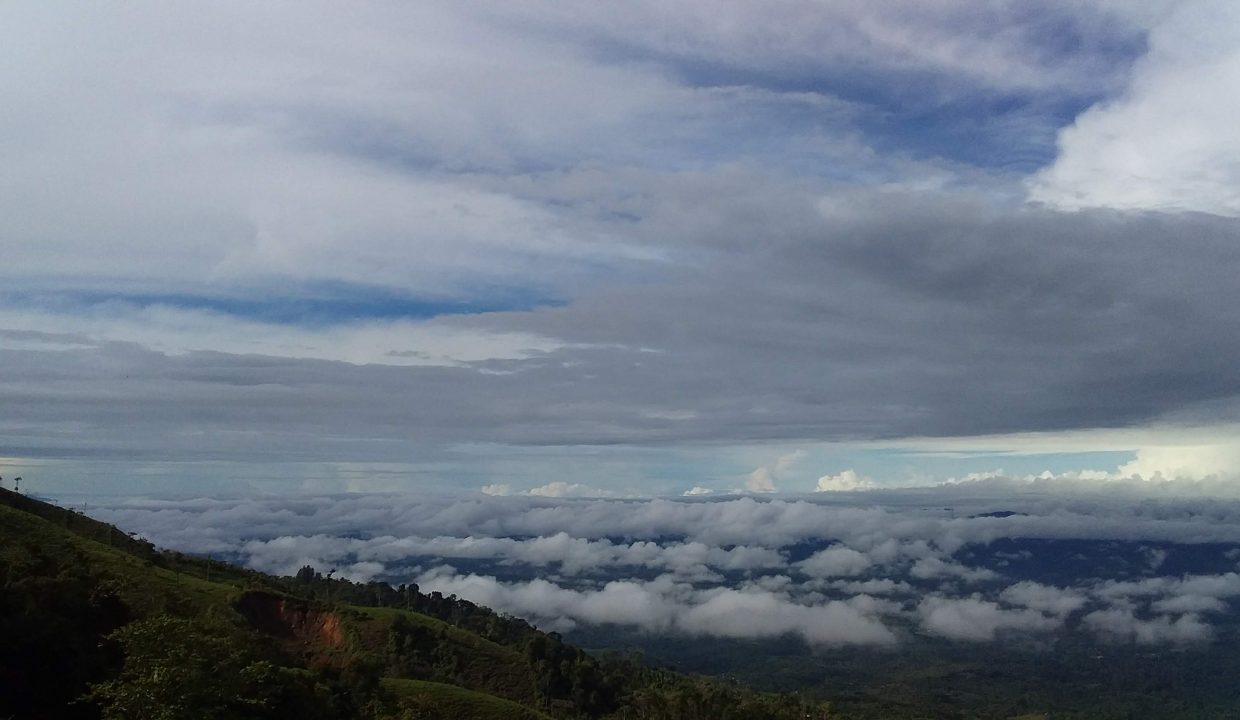 Finca en venta Costa Rica (9)