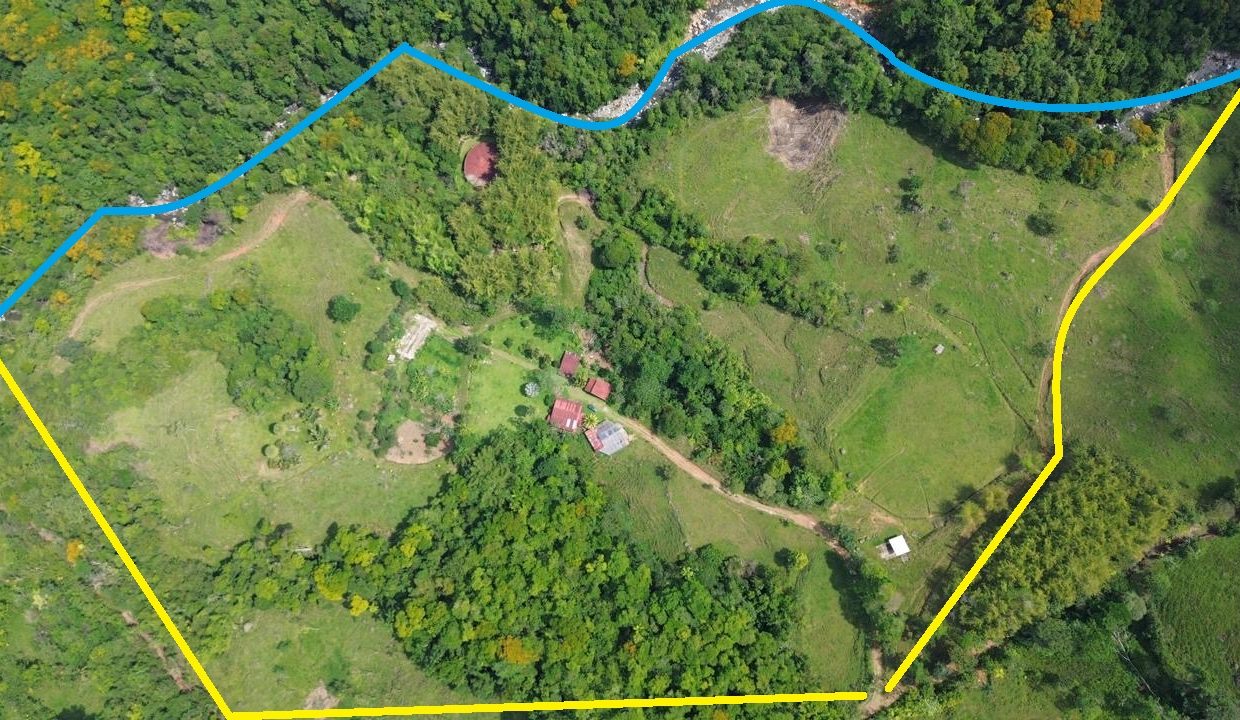 Finca en venta Costa Rica Perez Zeledon (0)