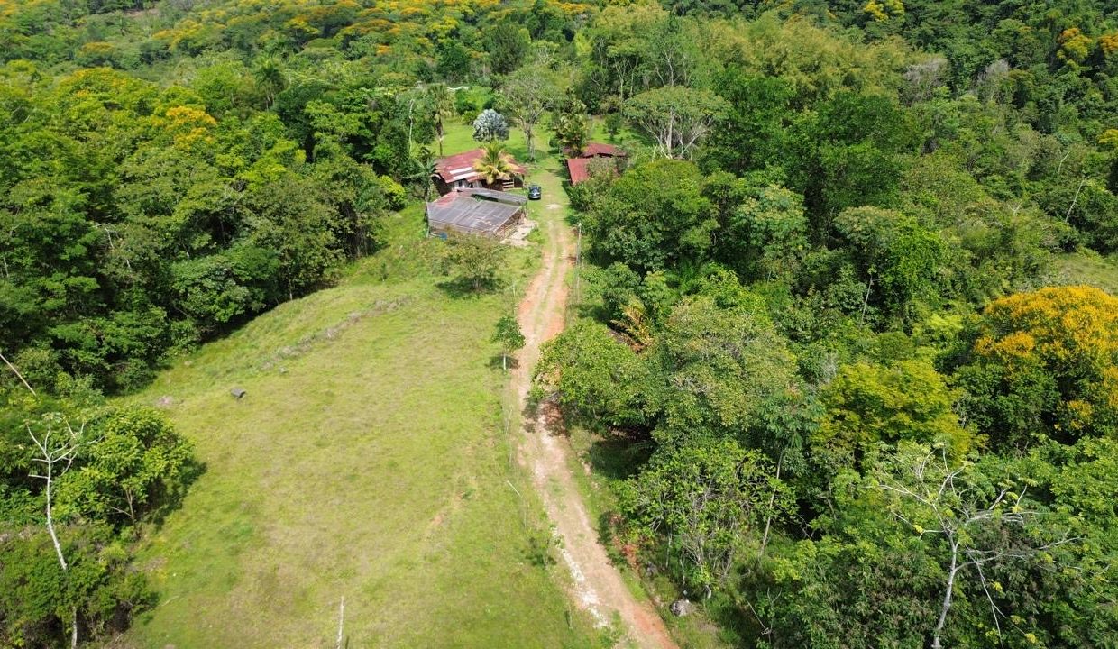 Finca en venta Costa Rica Perez Zeledon (0.13)