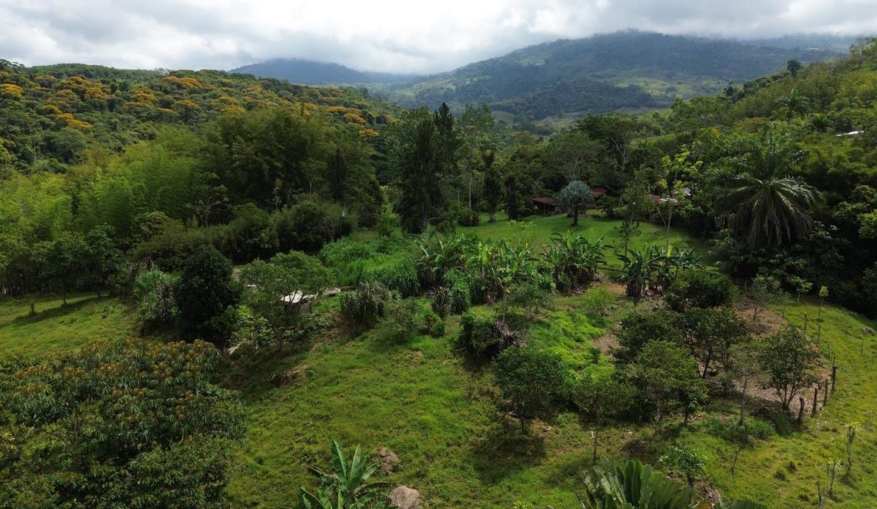 Finca en venta Costa Rica Perez Zeledon (0.15)