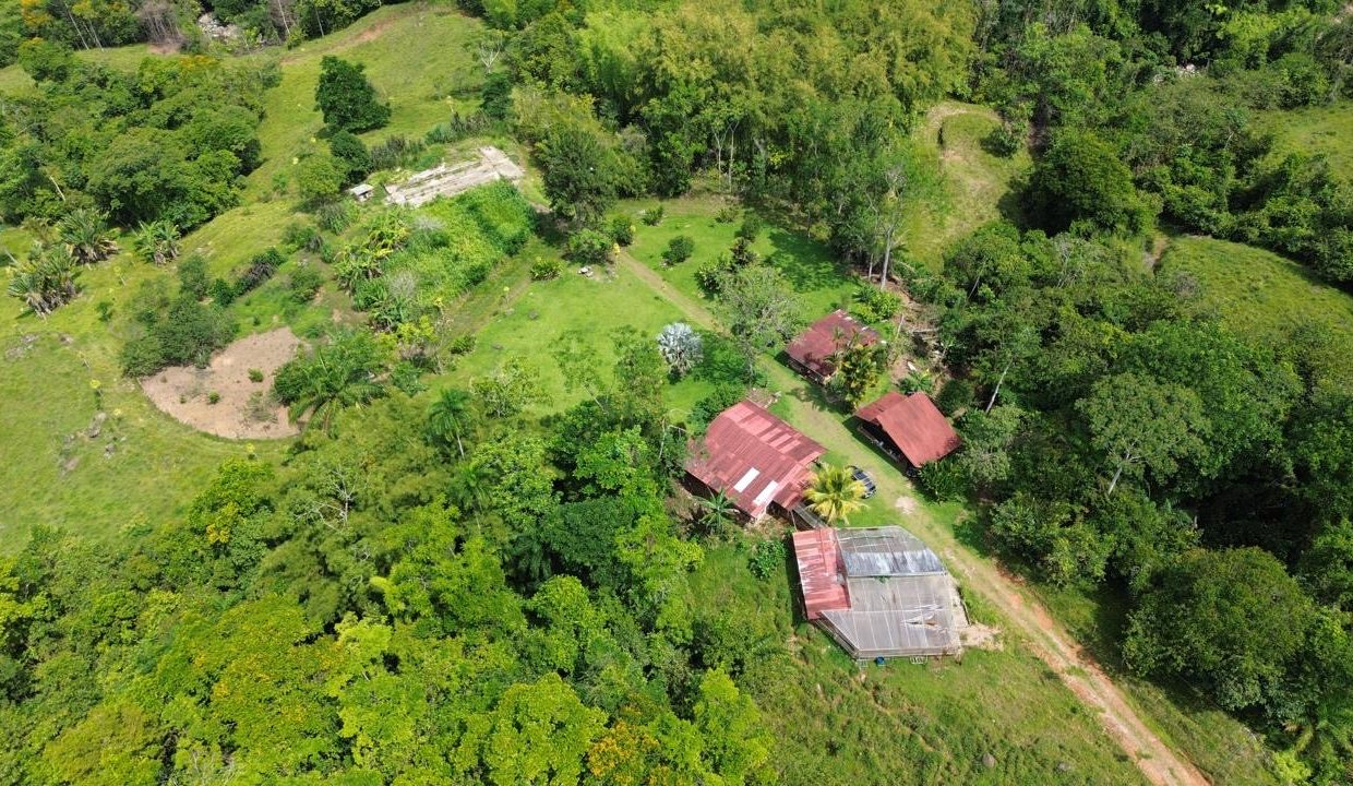 Finca en venta Costa Rica Perez Zeledon (0.2)