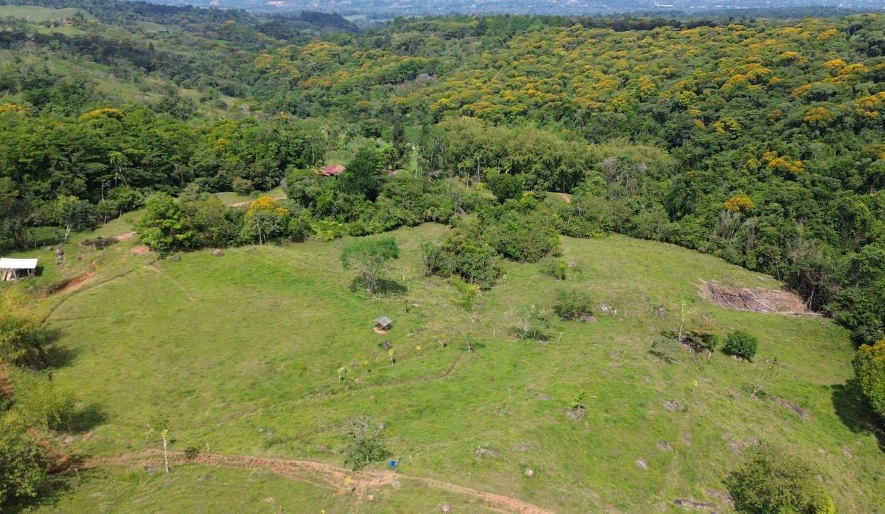 Finca en venta Costa Rica Perez Zeledon (0.3)