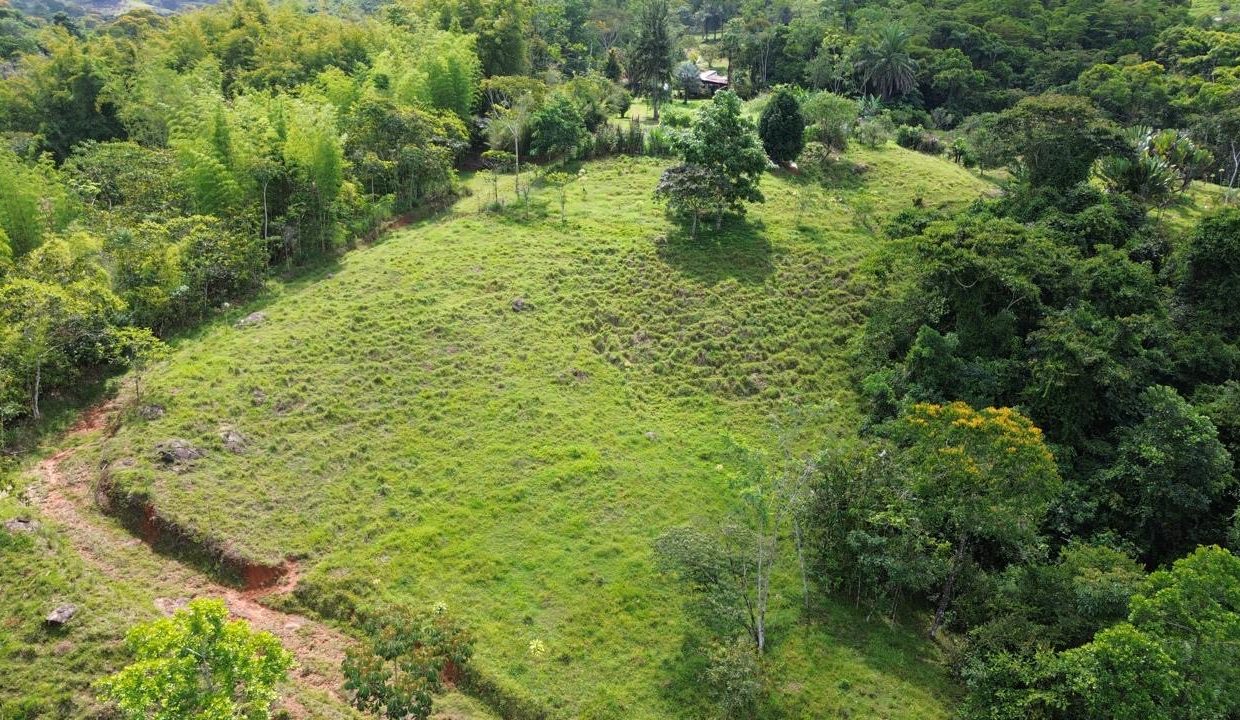 Finca en venta Costa Rica Perez Zeledon (0.4)