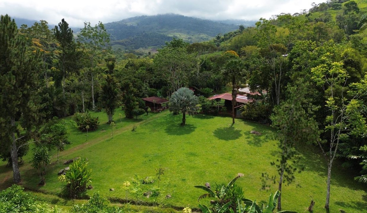 Finca en venta Costa Rica Perez Zeledon (0.5)