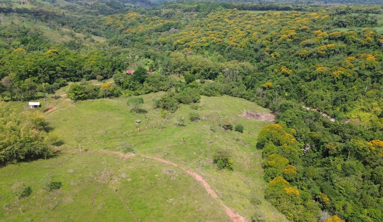 Finca en venta Costa Rica Perez Zeledon (0.6)