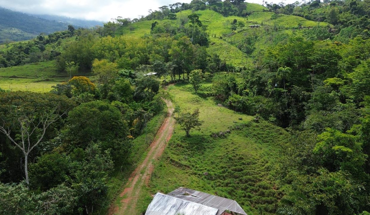 Finca en venta Costa Rica Perez Zeledon (0.7)