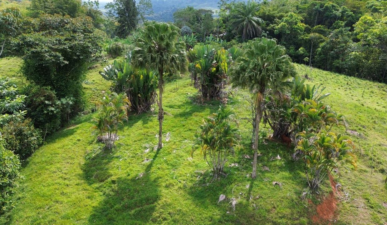 Finca en venta Costa Rica Perez Zeledon (0.9)