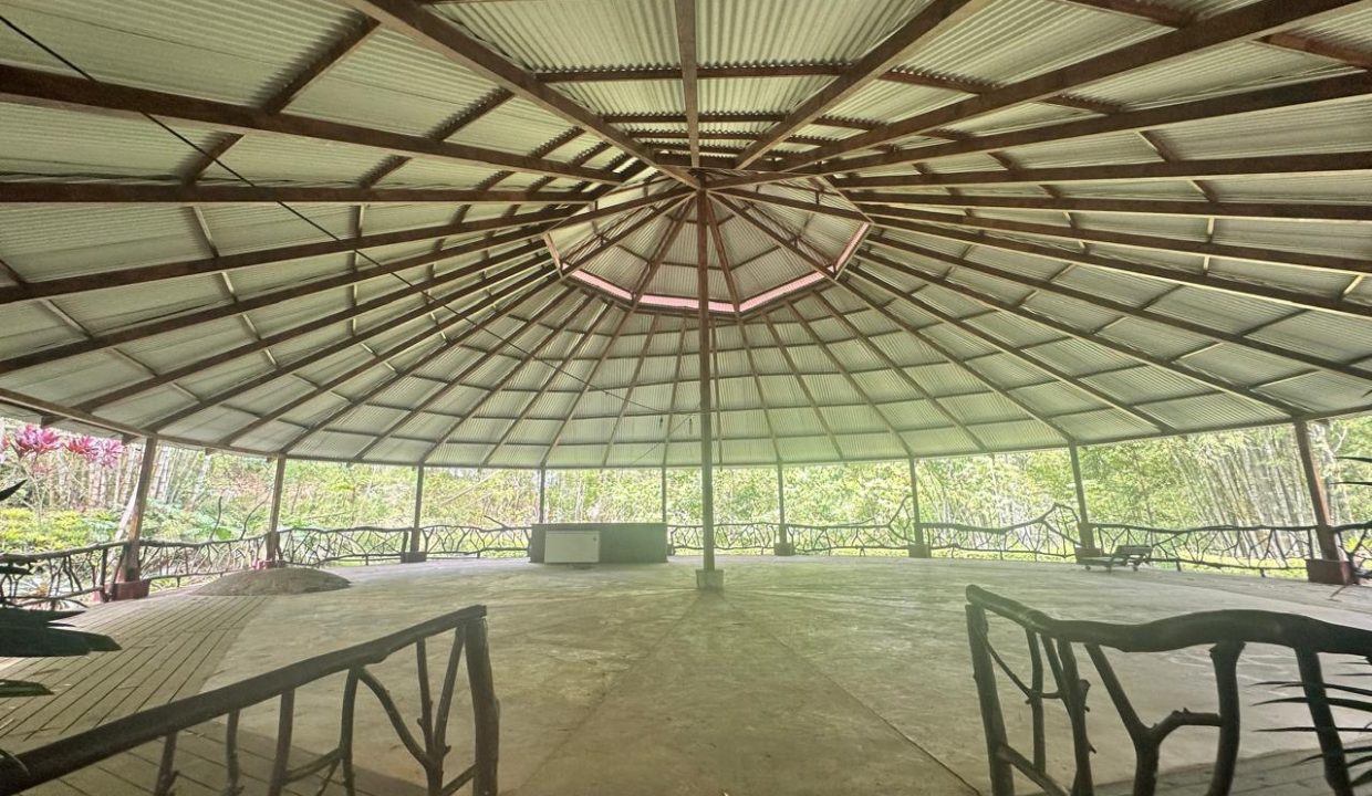 Finca en venta Costa Rica Perez Zeledon (1)