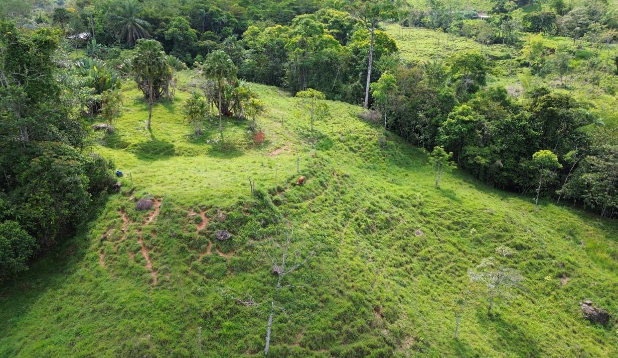 Finca en venta Costa Rica Perez Zeledon (10)