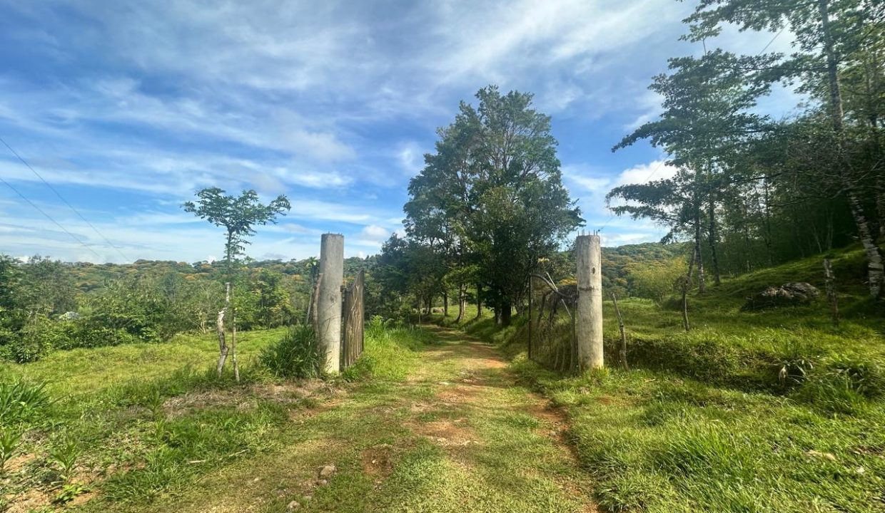 Finca en venta Costa Rica Perez Zeledon (12)