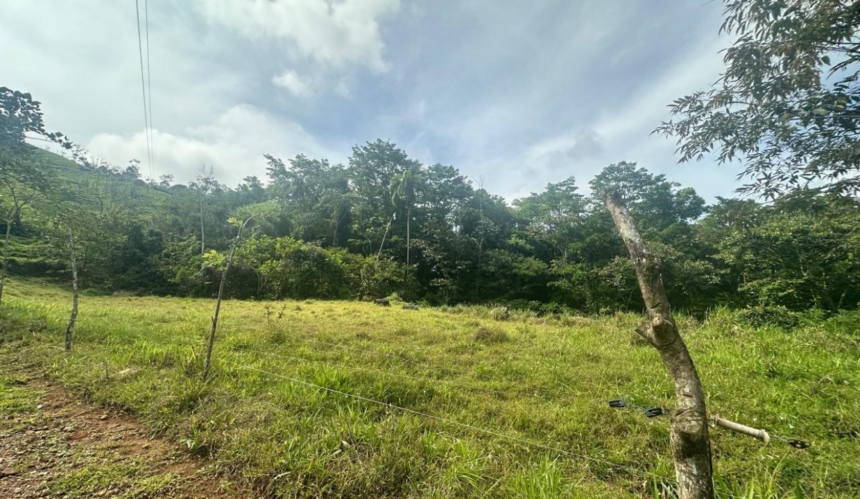 Finca en venta Costa Rica Perez Zeledon (13)