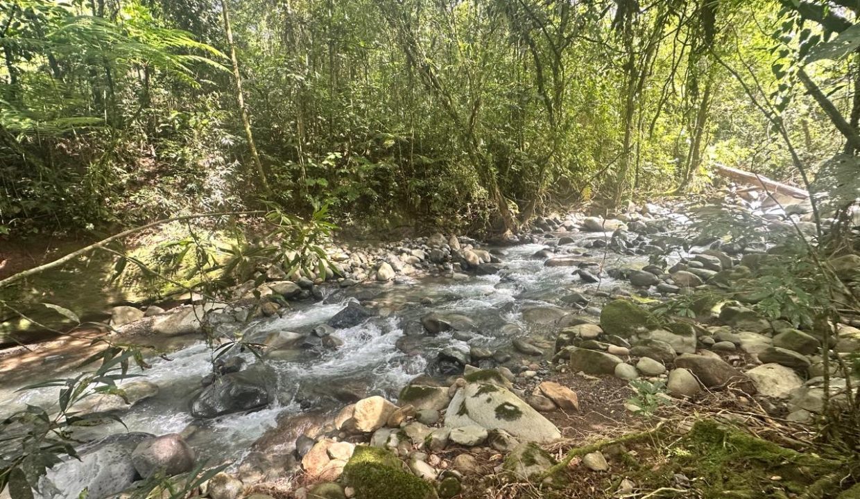 Finca en venta Costa Rica Perez Zeledon (15)