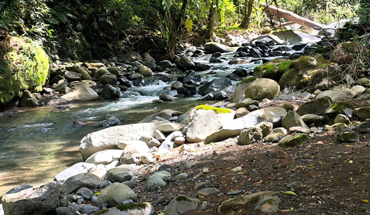 Finca en venta Costa Rica Perez Zeledon (17)