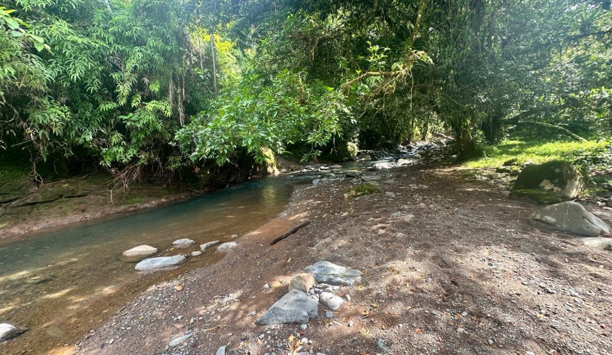 Finca en venta Costa Rica Perez Zeledon (19)