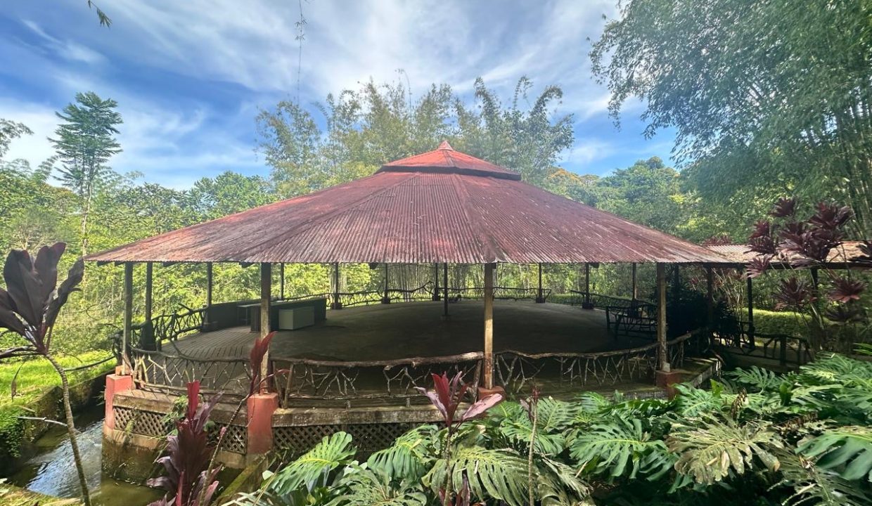 Finca en venta Costa Rica Perez Zeledon (20)