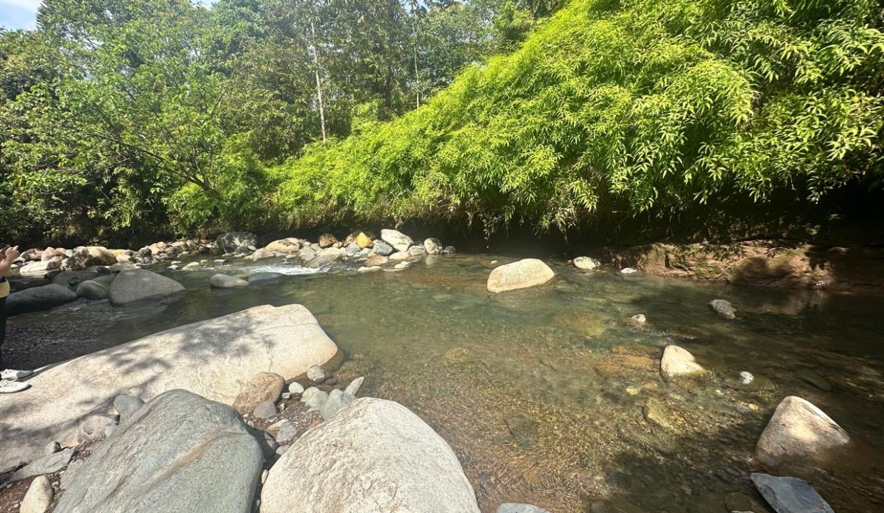 Finca en venta Costa Rica Perez Zeledon (21)