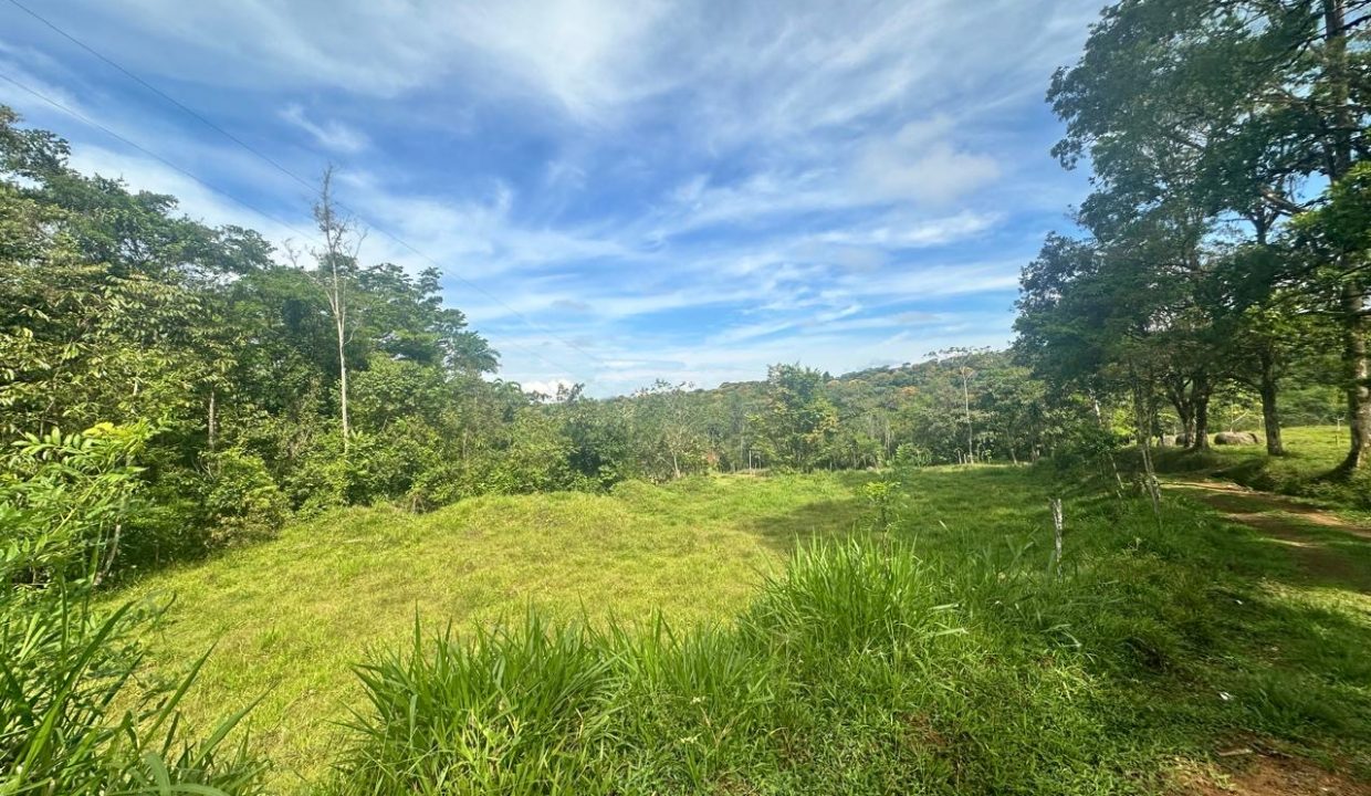 Finca en venta Costa Rica Perez Zeledon (23)