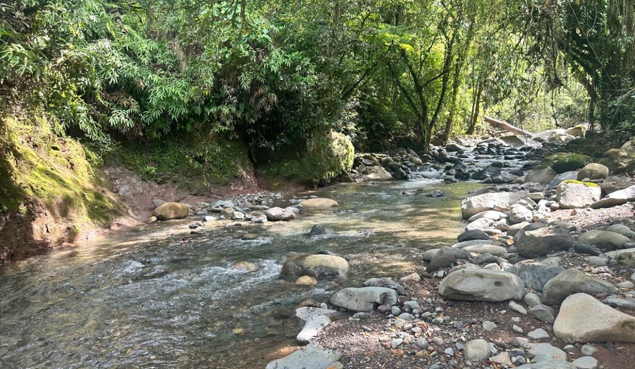 Finca en venta Costa Rica Perez Zeledon (24)
